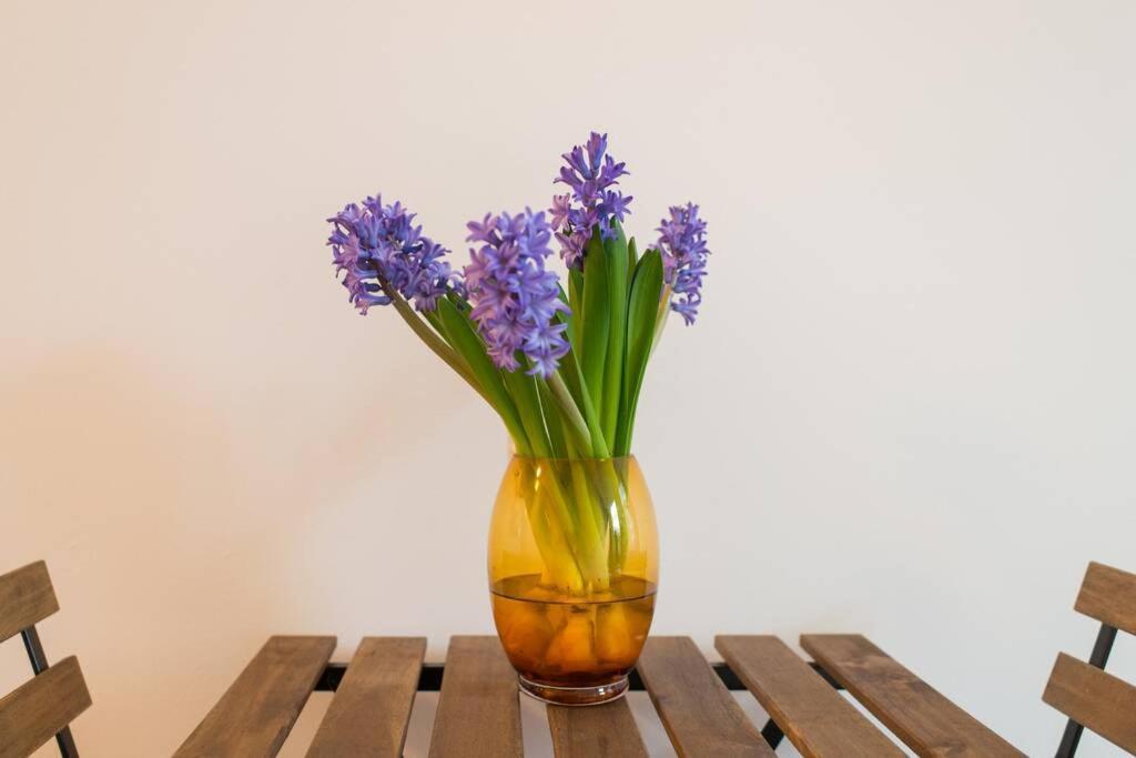 Charming Apartment In City Center Амстердам Екстериор снимка